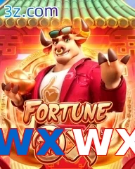 wxwx