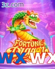 wxwx